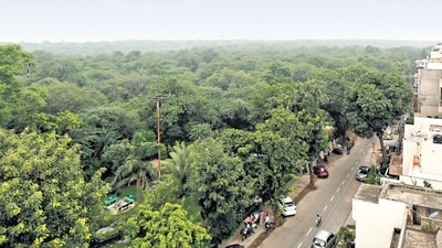 The lush area in Bengaluru, home to 371 trees and rich in history, received formal protection under the Biological Diversity Act. The lush area in Bengaluru, home to 371 trees and rich in history, received formal protection under the Biological Diversity Act.