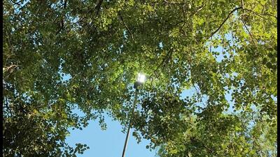 President of Ardee City RWA said around 150 streetlights have been non-functional for three weeks, despite repeated reminders to the MCG. President of Ardee City RWA said around 150 streetlights have been non-functional for three weeks, despite repeated reminders to the MCG.