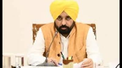 Punjab chief minister Bhagwant Mann