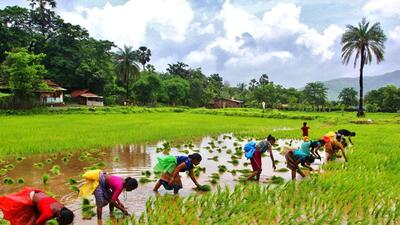 Widows of distress-stricken farmers in Maharashtra are battling various odds to rebuild their lives. (Photo: Praful Gangurde) Widows of distress-stricken farmers in Maharashtra are battling various odds to rebuild their lives. (Photo: Praful Gangurde)