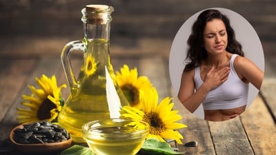 Know pros and cons of seed oils. (Adobe Stock) Know pros and cons of seed oils. (Adobe Stock)