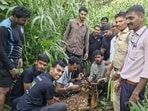 Spotted deer rescued from Powai IT park, safely returned to Sanjay Gandhi National Park