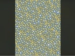A 'faceless' star is present somewhere in this viral optical illusion. Can you spot it?
