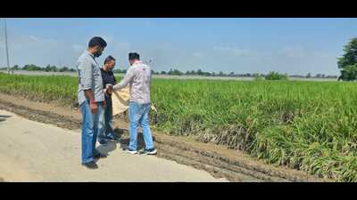 A team of Ferozepur administration assessing loss to crops in a village on Thursday. (HT Photo) A team of Ferozepur administration assessing loss to crops in a village on Thursday. (HT Photo)