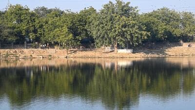 A view of Basai Pond in Gurugram on Friday. (Parveen Kumar/HT) A view of Basai Pond in Gurugram on Friday. (Parveen Kumar/HT)