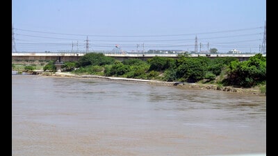 Over 75% of floodplain land is encroached; projects like Akshardham and CWG Village alone occupy 250 hectares, creating bottlenecks and raising river levels. (RAJ K RAJ /HT PHOTO)