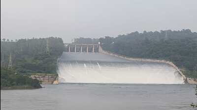 Pong dam on the Beas River. (HT File)