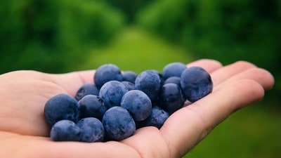 Berries have low glycemic index, resulting in low blood sugar spikes. (Pexels) Berries have low glycemic index, resulting in low blood sugar spikes. (Pexels)