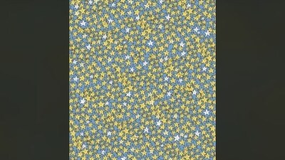 A 'faceless' star is present somewhere in this viral optical illusion. Can you spot it? (Reddit)