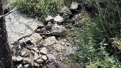 An optical illusion shared on Reddit showed a mountain path where a snake was camouflaged, sparking debate as users struggled to locate it. (Reddit/Flying_dog15) An optical illusion shared on Reddit showed a mountain path where a snake was camouflaged, sparking debate as users struggled to locate it. (Reddit/Flying_dog15)