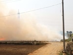 Deputy commissioners across the state have been directed to create control rooms to monitor stubble burning incidents. (HT Photo)
