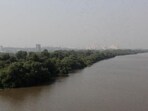 In respect of the 70 mangroves to be cut, the respondents were obligated to plant 370 mangrove saplings. (HT Photo)