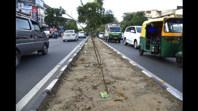 A damaged central verge in south Delhi. (HT Archive) A damaged central verge in south Delhi. (HT Archive)