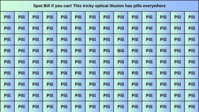 'Bill' is hidden somewhere in this viral optical illusion challenge. Can you spot it? 'Bill' is hidden somewhere in this viral optical illusion challenge. Can you spot it?