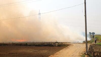 Deputy commissioners across the state have been directed to create control rooms to monitor stubble burning incidents. (HT Photo) Deputy commissioners across the state have been directed to create control rooms to monitor stubble burning incidents. (HT Photo)