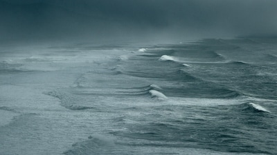 The alerts go from Florida’s Duval County south through Brevard County and into southeast Georgia, covering all the popular and populated beaches. (Representative image/ Pixabay) The alerts go from Florida’s Duval County south through Brevard County and into southeast Georgia, covering all the popular and populated beaches. (Representative image/ Pixabay)