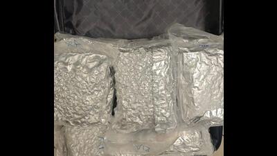 A total of 39.2 kilograms of the hydroponic weed, 19.6 kilograms from each passenger, were recovered from their check-in baggage A total of 39.2 kilograms of the hydroponic weed, 19.6 kilograms from each passenger, were recovered from their check-in baggage
