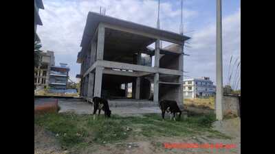 Caught in the legal tussle, the plots in Industrial Area, Phase 9, Mohali, remained bereft of civic amenities, stalling development. (HT) Caught in the legal tussle, the plots in Industrial Area, Phase 9, Mohali, remained bereft of civic amenities, stalling development. (HT)