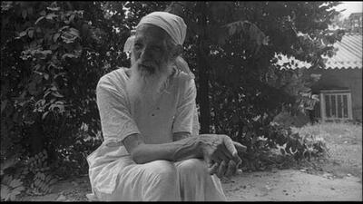 Chipko movement leader Sunder Lal Bahuguna called ecology the permanent economy. (HC TIWARI/HTPHOTO) Chipko movement leader Sunder Lal Bahuguna called ecology the permanent economy. (HC TIWARI/HTPHOTO)