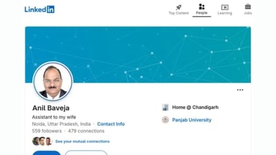 The LinkedIn profile has sparked a wave of lighthearted admiration across social media. (Reddit/LinkedInLunatics) The LinkedIn profile has sparked a wave of lighthearted admiration across social media. (Reddit/LinkedInLunatics)