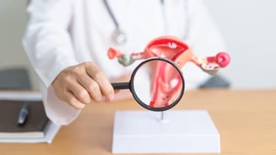 Ovarian cancer develops in the ovaries, fallopian tubes, or lining of the abdomen. (Shutterstock) Ovarian cancer develops in the ovaries, fallopian tubes, or lining of the abdomen. (Shutterstock)