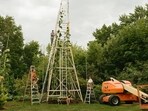 Ukrainian immigrant grows world’s tallest sunflower.