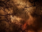The Southern Californian wildfires earlier this year brought attention to  drought conditions, which have been exacerbated by climate change. 