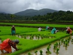 Agriculture Agriculture