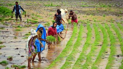 Agriculture, which employs 42% of the state’s workforce and contributes ₹4 lakh crore to the state’s GDP, is a key sector under the mission (Hindustan Times) Agriculture, which employs 42% of the state’s workforce and contributes ₹4 lakh crore to the state’s GDP, is a key sector under the mission (Hindustan Times)