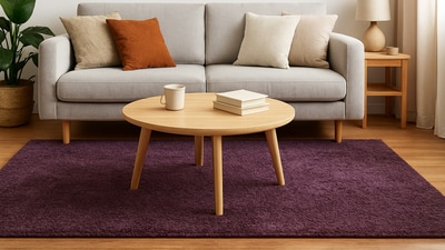 A plush rug under a sofa and coffee table instantly creates a cosy, defined, and stylish seating area in the living room. (AI generated) A plush rug under a sofa and coffee table instantly creates a cosy, defined, and stylish seating area in the living room. (AI generated)