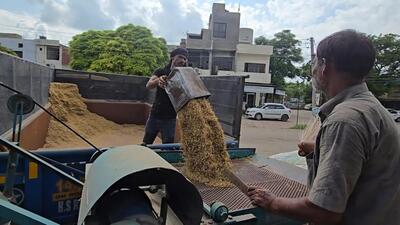 Sheeshan Kumar, president of the arthiyas association, attributed the low rates to a decline in rice prices internationally. He said the prices in Sangrur mandi are higher than others. “It was sold for  ₹2,500 to  ₹2,600 per quintal earlier too. (HT Photo)