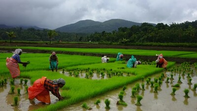 Agriculture (Courtesy Rajesh Krishnan) Agriculture (Courtesy Rajesh Krishnan)