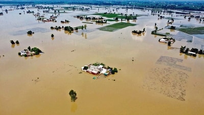 Swathes of farmland submerged under floodwater in Kapurthala, Punjab. (HT Photo) Swathes of farmland submerged under floodwater in Kapurthala, Punjab. (HT Photo)