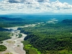 A breathtaking aerial view of the Amazon rainforest in Ecuador. (Shutterstock)