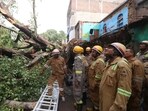 A massive tree fell near the fish market in the Qaiserbagh area of Lucknow on Tuesday, (Deepak Gupta/HT Photo) A massive tree fell near the fish market in the Qaiserbagh area of Lucknow on Tuesday, (Deepak Gupta/HT Photo)