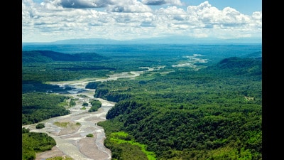 A breathtaking aerial view of the Amazon rainforest in Ecuador. (Shutterstock) A breathtaking aerial view of the Amazon rainforest in Ecuador. (Shutterstock)