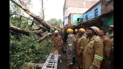 A massive tree fell near the fish market in the Qaiserbagh area of Lucknow on Tuesday, (Deepak Gupta/HT Photo) A massive tree fell near the fish market in the Qaiserbagh area of Lucknow on Tuesday, (Deepak Gupta/HT Photo)
