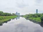 A view of the Shahdara drain in Uttar Pradesh. (Sunil Ghosh/HT) A view of the Shahdara drain in Uttar Pradesh. (Sunil Ghosh/HT)
