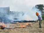 A farmer burns straw stubble after a harvest in a paddy field on the outskirts of Amritsar.