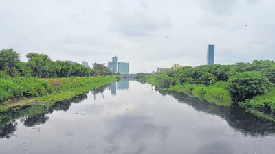 A view of the Shahdara drain in Uttar Pradesh. (Sunil Ghosh/HT) A view of the Shahdara drain in Uttar Pradesh. (Sunil Ghosh/HT)