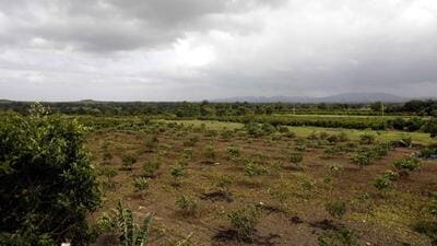 Farmers who do not submit their consent letters by September 18 for land acquisition for the proposed Purandar International Airport will have their land acquired forcibly without additional compensation. (HT FILE) Farmers who do not submit their consent letters by September 18 for land acquisition for the proposed Purandar International Airport will have their land acquired forcibly without additional compensation. (HT FILE)