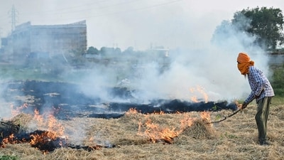 A farmer burns straw stubble after a harvest in a paddy field on the outskirts of Amritsar. (AFP/File Photo) A farmer burns straw stubble after a harvest in a paddy field on the outskirts of Amritsar. (AFP/File Photo)