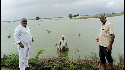 Several areas along the Yamuna river in Radaur, Jagadhari and Khizarabad suffered damaged in Yamunanagar. (File) Several areas along the Yamuna river in Radaur, Jagadhari and Khizarabad suffered damaged in Yamunanagar. (File)