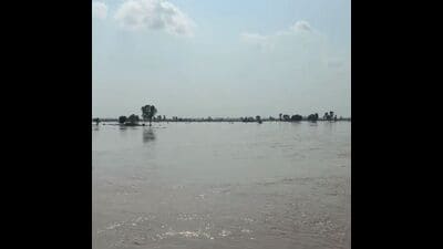 The water level in around 14 villages situated in Mand areas of Sultanpur Lodhi had receded to 1 foot but it rose considerably on Tuesday, up to four feet in some areas. The water level in around 14 villages situated in Mand areas of Sultanpur Lodhi had receded to 1 foot but it rose considerably on Tuesday, up to four feet in some areas.