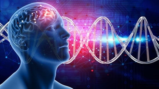 The cardiologist shared a video from the research that illustrates the critical role of sleep in brain restoration. ( Freepik)