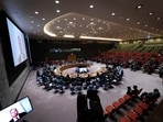 A senior US policy adviser said other council members "ignored" Washington's warning about the “unacceptable” language and instead adopted “performative action designed to draw a veto.”