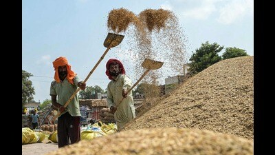 Labourers use shovels to separate grains of paddy rice from the husk at a wholesale grain market on the outskirts of Amritsar on Thursday. (AFP)