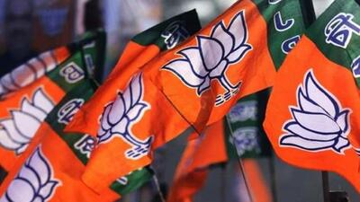 The AI video depicts a Muslim-majority Assam if there was no BJP. (BJP official website) The AI video depicts a Muslim-majority Assam if there was no BJP. (BJP official website)