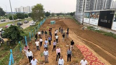 The drive was started on Wednesday with the plantation of the first 100 saplings, in the presence of senior discom officials and the NGO ‘Say Earth’ founder Ramveer Tanwar. (HT Photos) The drive was started on Wednesday with the plantation of the first 100 saplings, in the presence of senior discom officials and the NGO ‘Say Earth’ founder Ramveer Tanwar. (HT Photos)
