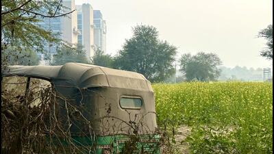 Until 2016, Gurugram was called Gurgaon; the “gaon” in the name translating to village. This sheher indeed was a gaon. Farm fields would spread out as far as eyes could see—says an elderly Gurugram citizen. (HT Photo) Until 2016, Gurugram was called Gurgaon; the “gaon” in the name translating to village. This sheher indeed was a gaon. Farm fields would spread out as far as eyes could see—says an elderly Gurugram citizen. (HT Photo)